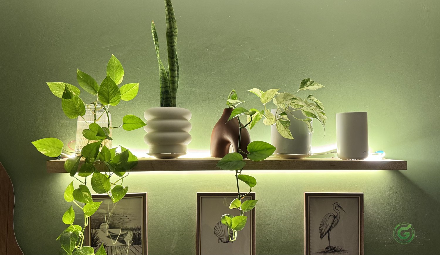 Iluminación ambiental en Casa Coto Cantero